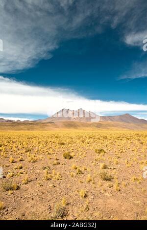 Cerro Miniques (Miniques hill) in the Altiplano (high Andean Plateau), Los Flamencos National Reserve, Atacama desert, Antofagasta Region, Chile Stock Photo