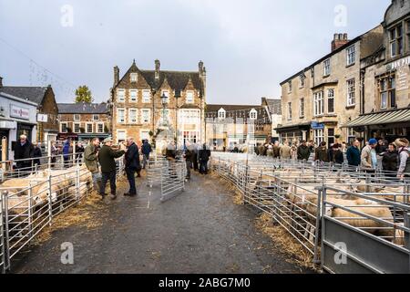Uppingham, Rutland, UK. 27th Nov, 2019. Animal pens in the Market Square for the Uppingham Fat Stock show, Credit: Michael David Murphy / Alamy Live News Stock Photo