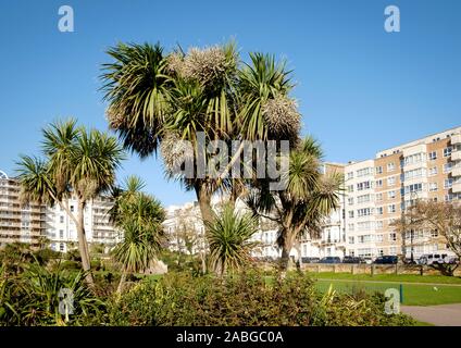 Warrior Square Gardens, St. Leonards, Hastings, East Sussex Stock Photo