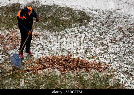 A utility worker removes fallen leaves from lawns in the local area in Moscow during the first snowfall, Russia Stock Photo