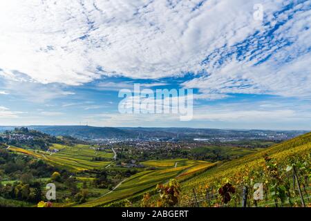 Germany, Stuttgart city tv tower and skyline behind colorful vineyard in autumn season Stock Photo