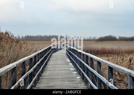 Beautiful bavarian lake in winter Stock Photo