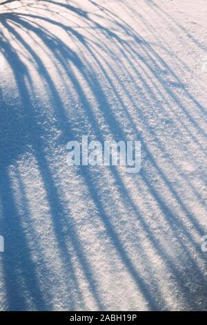 Natural Shadows On White Snowy Snow Surface. Winter Abstract View. Stock Photo