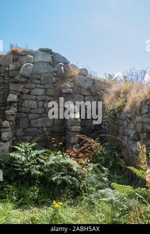 The sad ruins of Woodcock's cottage, abandoned in 1855, on the since uninhabited island of Samson, Isles of Scilly, England, UK Stock Photo