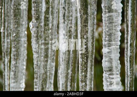 Crystal clear sharp frozen icicles hanging down. Stock Photo