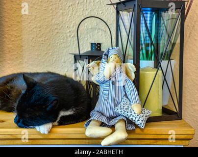 A black cat with white paws sleeps on a sideboard next to a yawning doll with lanterns in the background. Stock Photo