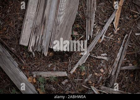 Old broken wooden planks on wet ground Stock Photo