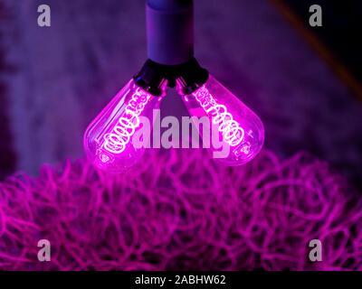 two abstract pink glowing light bulbs with filaments Stock Photo