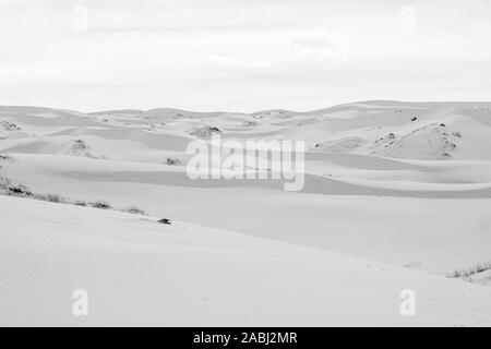 sand dunes of the Samalayuca desert, Chihuahua Mexico. 52 km south of Ciudad Juárez in the middle of the desert area known as the Médanos de Samalayuc Stock Photo