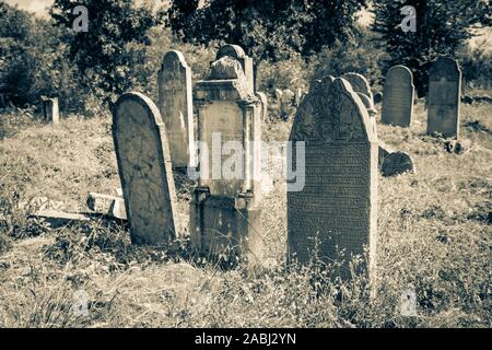 Old neglected Jewish cemetery in Eastern Slovakia. Europe Stock Photo