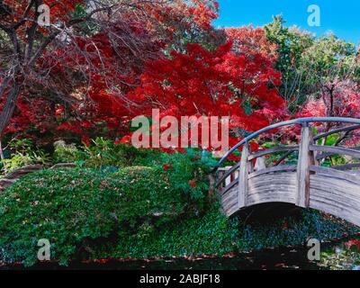 Japanese garden Bridge 121019 Stock Photo