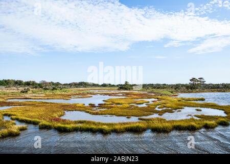 The salt marshes of Assateague Island National Seashore, a barrier island on the Atlantic ocean, Maryland, USA. Stock Photo