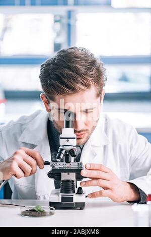 selective focus of bearded biochemist in white coat looking through microscope in laboratory Stock Photo