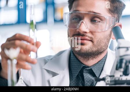 selective focus of handsome biochemist looking a test tube with green plant Stock Photo