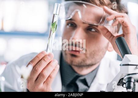 selective focus of handsome biochemist touching goggles and looking a test tube with green plant Stock Photo