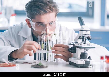 selective focus of handsome biochemist looking a test tubes with green plants near microscope Stock Photo