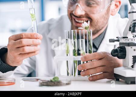 selective focus of happy biochemist looking a test tube with green plant near microscope Stock Photo