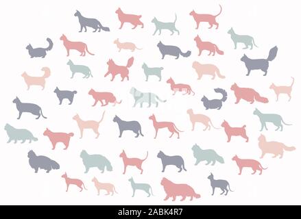 Cat breeds icon set flat style isolated on white. Cartoon silhouettes cats characters collection. Vector illustration Stock Vector