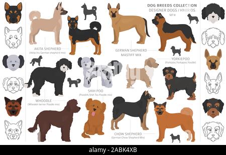 Yorkiepoo clipart. Yorkshire terrier Poodle mix. Different coat colors ...