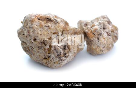 Ambergris, ambre gris, ambergrease or grey amber. Isolated on