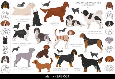 Hunting dogs collection isolated on white clipart. Flat style. Different color, portraits and silhouettes. Vector illustration Stock Vector