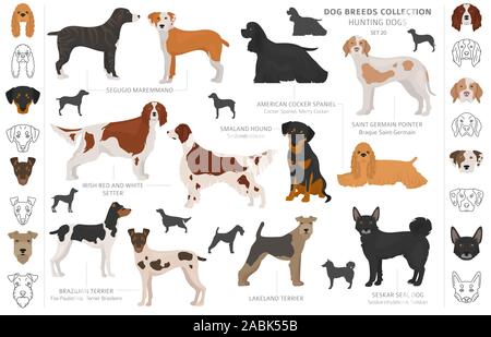 Hunting dogs collection isolated on white clipart. Flat style. Different color, portraits and silhouettes. Vector illustration Stock Vector