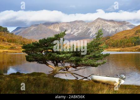 Small boat and Scots Pine Tree on the shore of Loch Coulin, Torridon, Wester Ross, Highland, Scotland.  View to Beinn Eighe. Stock Photo