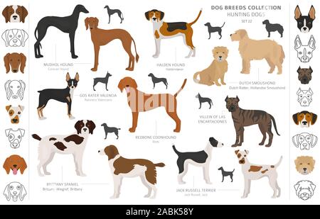 Hunting dogs collection isolated on white clipart. Flat style. Different color, portraits and silhouettes. Vector illustration Stock Vector