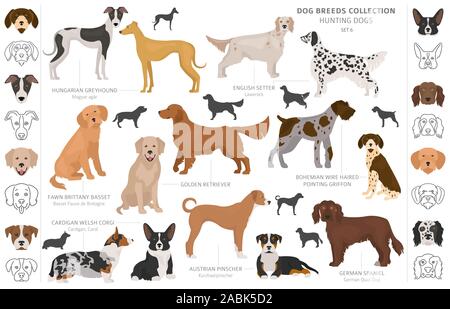 Hunting dogs collection isolated on white clipart. Flat style. Different color, portraits and silhouettes. Vector illustration Stock Vector