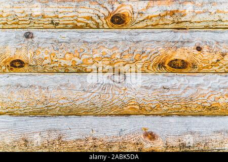 Wooden boards with texture as clear background. Fragment of wood house wall from logs with knots, horizontal image Stock Photo