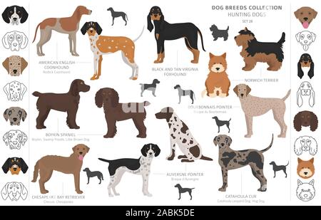 Hunting dogs collection isolated on white clipart. Flat style. Different color, portraits and silhouettes. Vector illustration Stock Vector