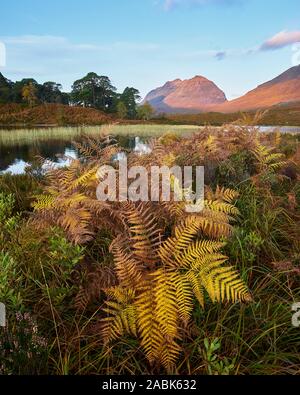 Liathach from Loch Clair in autumn, Torridon, Wester Ross, Highland, Scotland Stock Photo