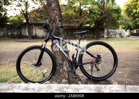 Bicycle Locked to a Tree Security and Anti-Theft Stock Photo