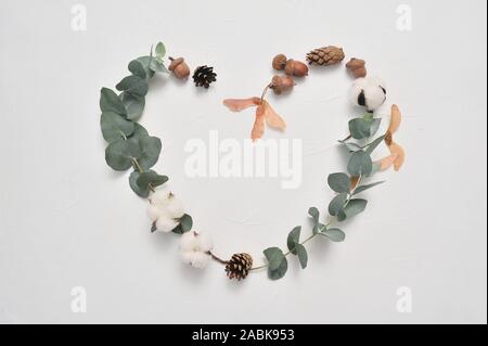 Eucalyptus leaves heart frame love on white background with cones, acorn and place for your text. Autumn wreath made of leaf branches. Flat lay, top Stock Photo