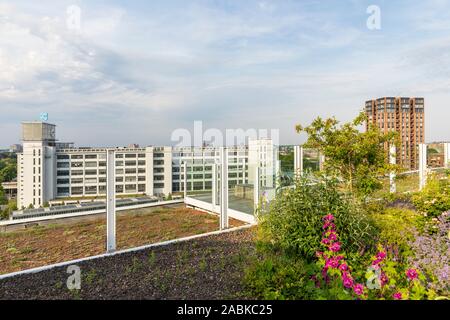 Eindhoven, The Netherlands, June 4th 2019. View of the luxurious rooftop garden at Strijp S with flowers and greenery on a sunny day in summer with a Stock Photo