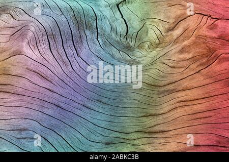 Wood grain texture with a rainbow effect background, Multicolor pastel, bright gradient on a hard wooden material surface. Beautiful pattern, bright v Stock Photo