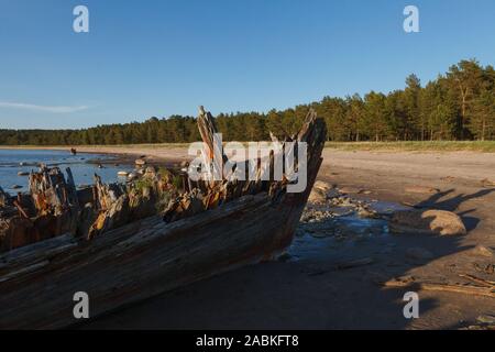 The 'Raketa' ship wreck on the Loksa beach in Estonia. The ship was built in 1949 in Finland Stock Photo