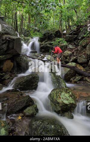 Adventure photographer standing on fallen tree over a tropical rainforest waterfall. Stock Photo