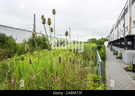 Behind the houses, the new track layout is to be double-tracked. The plans for the Truderinger Spange and Dagflinger Curve are not optimal for many residents. The noise barrier is to be built much closer to the housing estate during a conversion. Here: The noise protection wall on Thomas-Hauser-Straße, which according to the first plan of the railway is to move much closer to the houses, at its narrowest point only five metres from the fence. [automated translation] Stock Photo