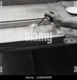 1950s, historical, testing eggs post-war, at a poultry farming regular testing of the eggs produced by the hens was undertaken and here can seen two raw eggs split onto a clear plastic board so its make -up can be analysed. Stock Photo