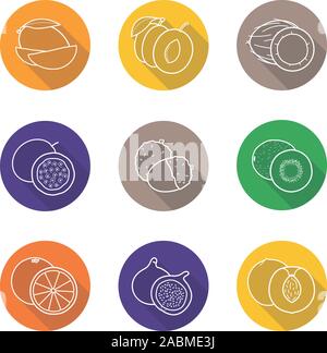 Fruit pairs flat linear long shadow icons set. Mango pieces, halved plum, open coconut, cutted passion fruit, orange, fig, peach, peeled litchi, kiwif Stock Vector