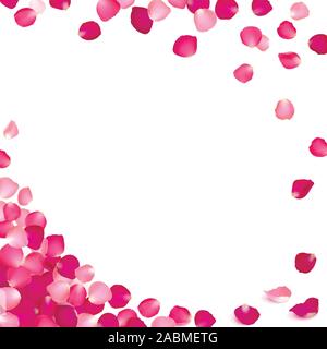 banner of pink rose petals on a white background Stock Vector