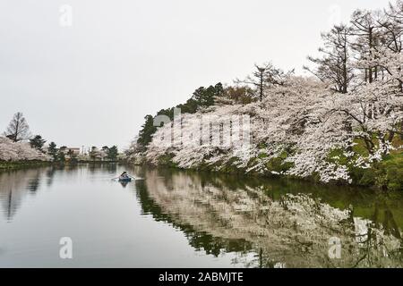 Cherry blossoms bloom in the spring and are reflected in a pond at Takada Park, Joetsu, Niigata, Japan. Stock Photo