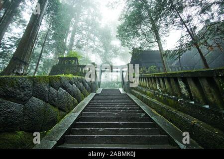 A torii gate sits at the top of the long stone staircase leading to the top of Nikko's Toshogu shrine where Tokugawa Ieyasu is enshrined. Stock Photo