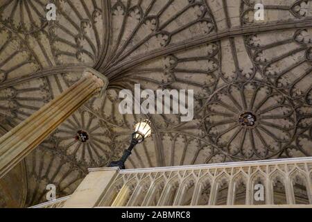 The fan-vaulted ceiling above the Hall Staircase at Christ Church College Oxford. Stock Photo