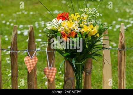 Colorful freesia flower bouquet in a garden Stock Photo