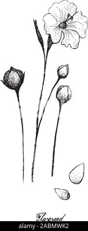 Hand drawn Linen seed and Flax flower. Vector clipart illustration ...