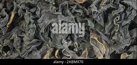 Dried kombu seaweed background. Natural seasoning texture. spices and food ingredients. Stock Photo