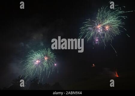 Beautiful orange and green fireworks over trees silhouette Stock Photo