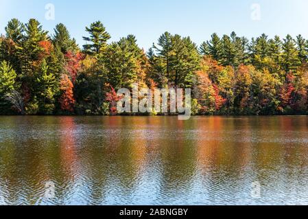 Colourfull trees along the shore of a lake on a clear autumn day. Reflection in water.